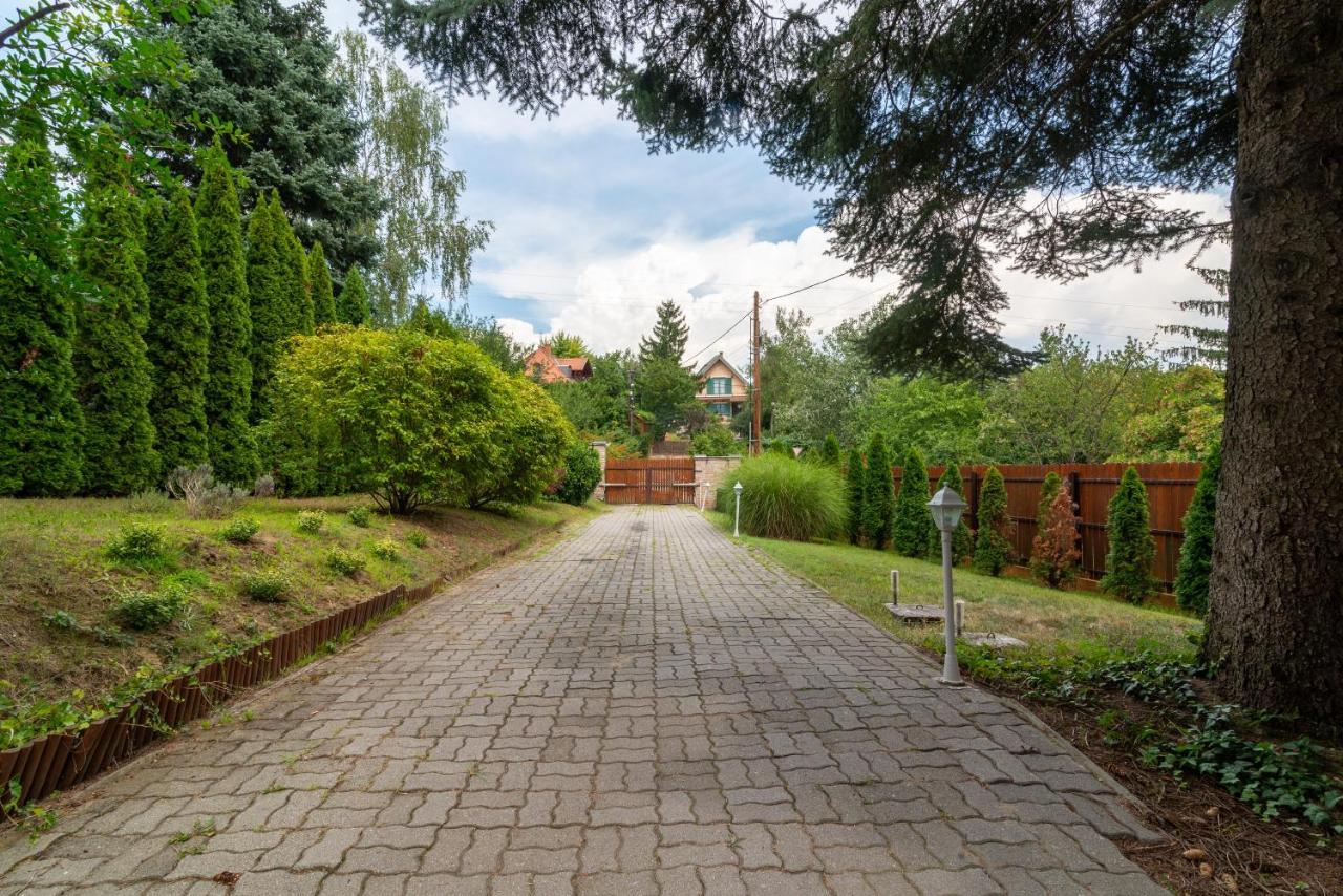 Cosy And Colorful Apartment Szentendre Εξωτερικό φωτογραφία